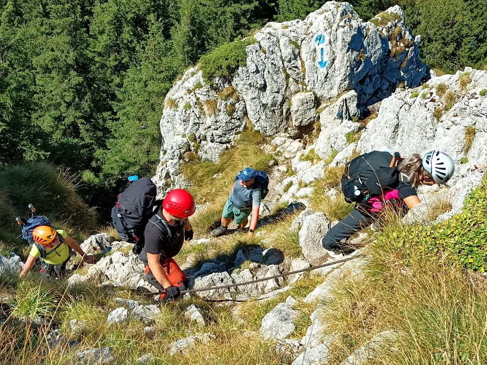 AlpinTrek