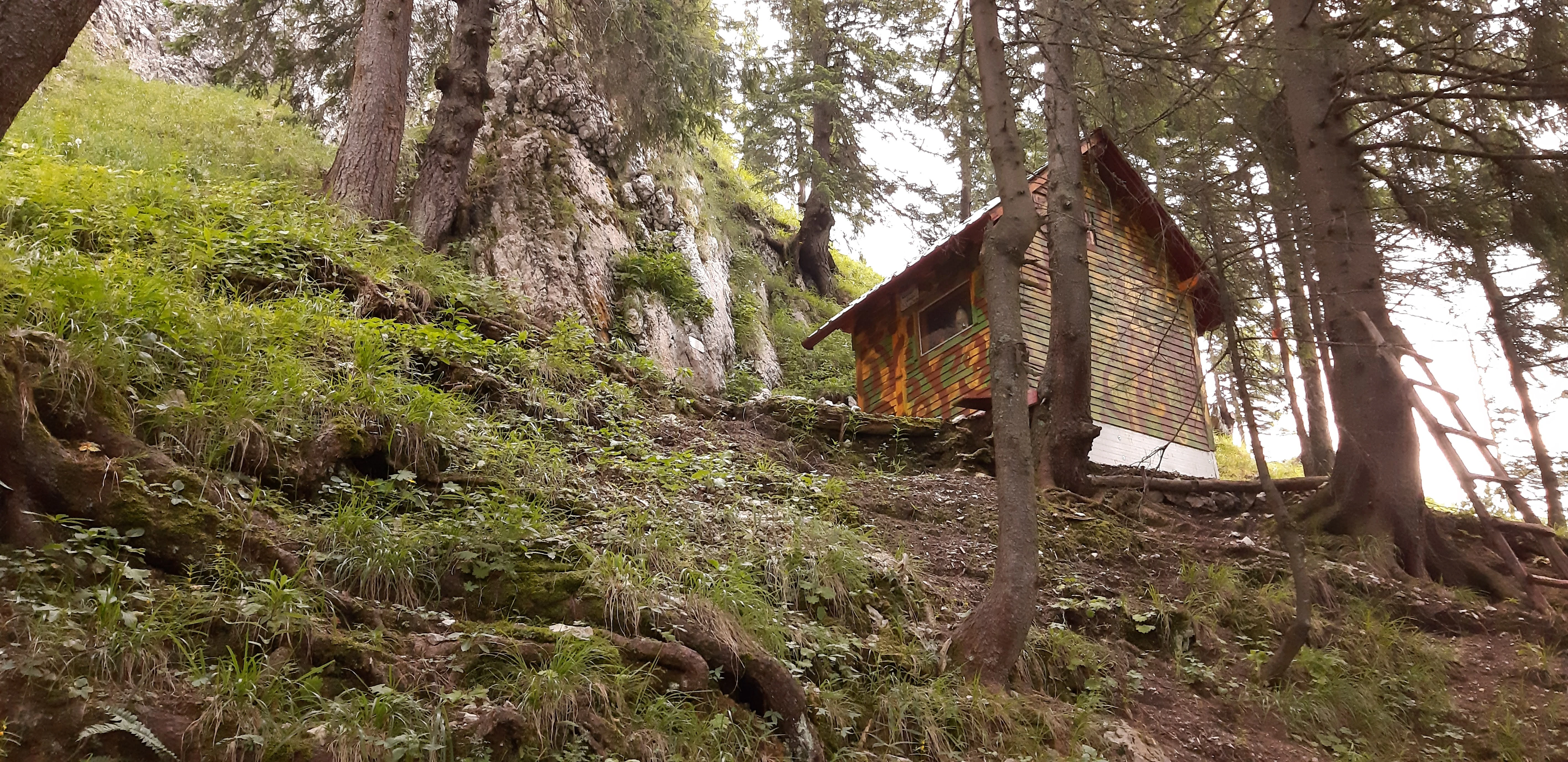 Refugiile ar trebui sa ramana "ascunse"